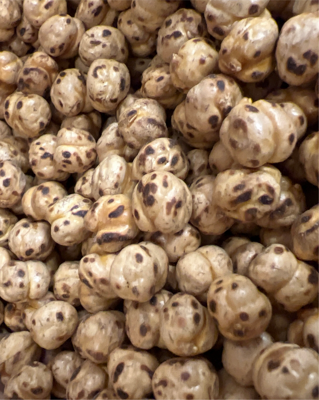 Yellow Roasted Chikpeas 1 lb