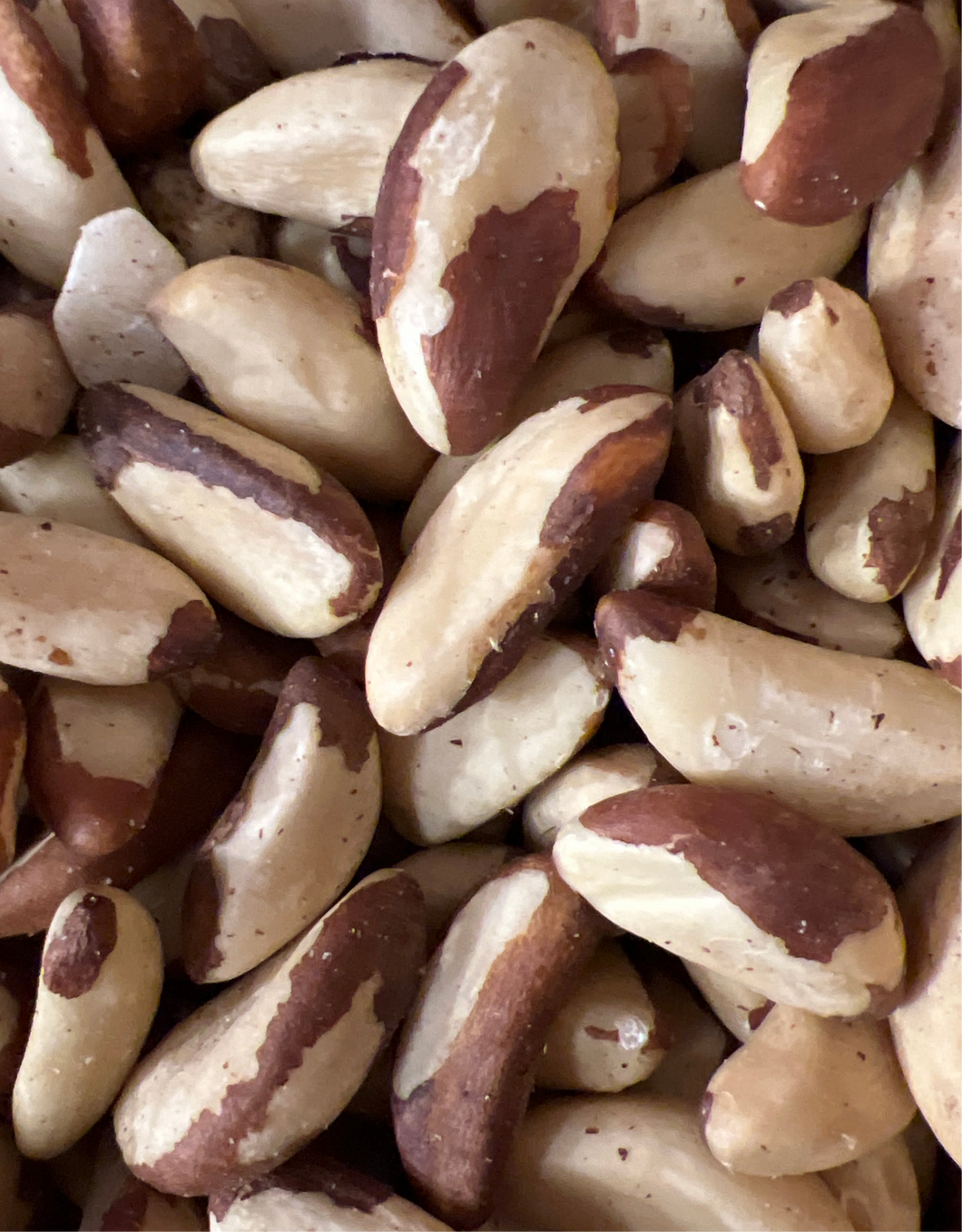 Brazilian Nuts 1lb